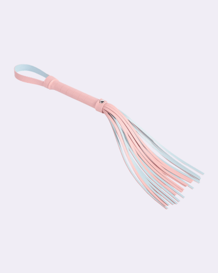 SM training with erotic whips